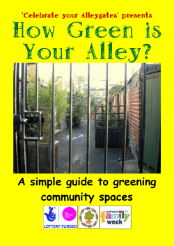 Greening your Alley