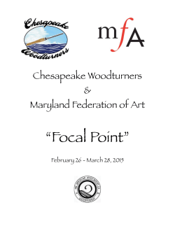 MFA Show 2015 Catalog.pages - Maryland Federation of Art