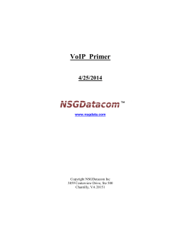 NSG Voice over IP (VoIP) Primer
