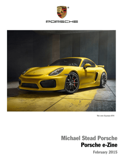 Michael Stead Porsche Porsche e-Zine