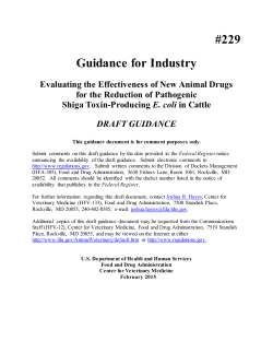 Guidance for Industry #229 - Food and Drug Administration