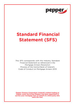 Standard Financial Statement (SFS)