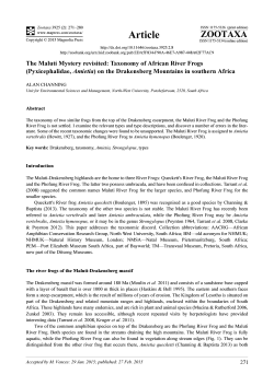 The Maluti Mystery revisited: Taxonomy of African River Frogs
