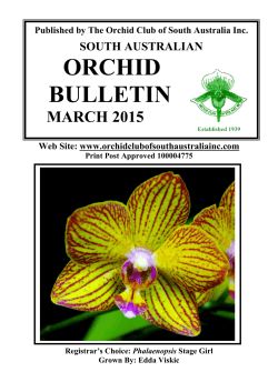 March 2015 - Orchid Club of South Australia Inc.