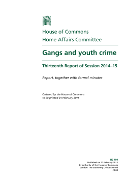 Gangs and youth crime - United Kingdom Parliament
