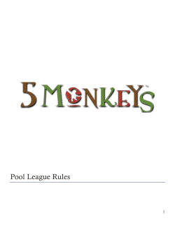 Pool League Rules