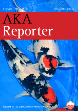 AKA Reporter Feb-Mar 2015 - Australian Koi Association