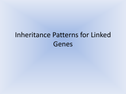 Inheritance Patterns for Linked Genes