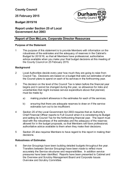 Report under Section 25 of Local Government Act 2003