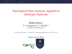 Topological Data Analysis Applied to Idiotypic Network