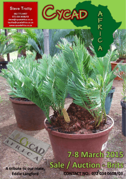 Catalogue March 2015 pdf