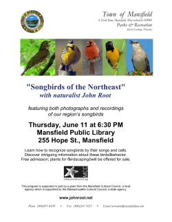"Songbirds of the Northeast" - Town of Mansfield Massachusetts