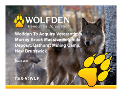 View - Wolfden Resources Corporation