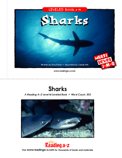 sharks-m