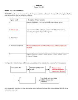 Worksheet Chapter 12.1-12.3 Chapter 12.1 – The Fossil Record