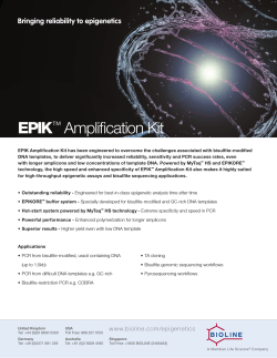 EPIK™ Amplification Kit