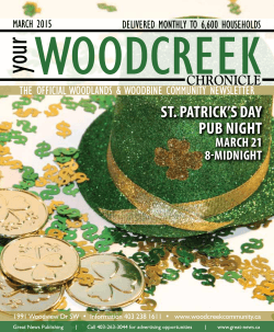 st. patrick`s day pub night st. patrick`s day pub night st. patrick`s day