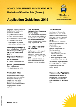 (Screen) Application Guidelines 2015