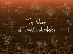 traditional herbs booklet