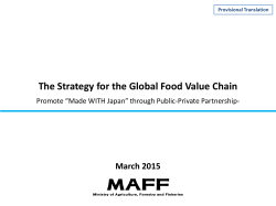 4. Overview of the Strategy for the Global Food Value Chain