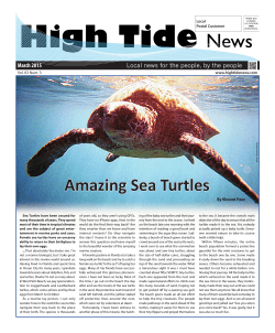 File - High Tide News