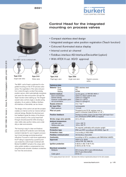 Control Head for the integrated mounting on process valves