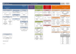 Organisation chart
