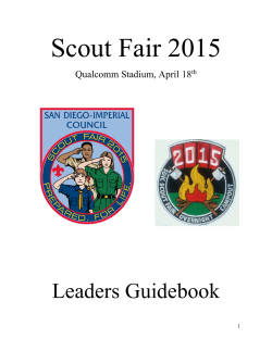 Scout Fair 2015