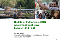 Update of Indonesia`s GHG Abatement Cost Cuve