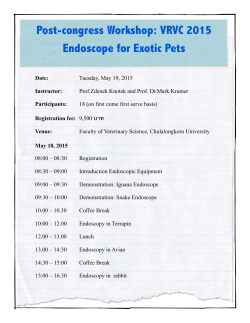 Post-congress Workshop: VRVC 2015 Endoscope