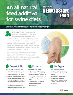 An all natural feed additive for swine diets