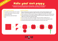our poppy-making template