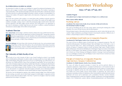 The Summer Workshop