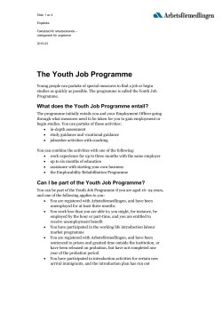 The Youth Job Programme
