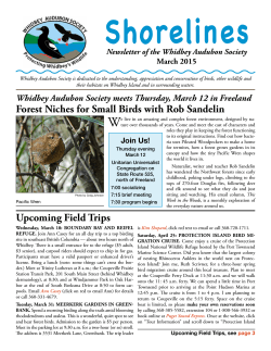 Newsletter  - Whidbey Audubon Society