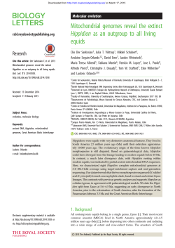 Mitochondrial genomes reveal the extinct Hippidion as an outgroup