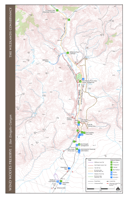 Wind Wolves Trail Map - The Wildlands Conservancy