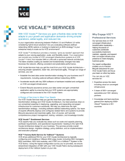 VCE Vscale Services Overview