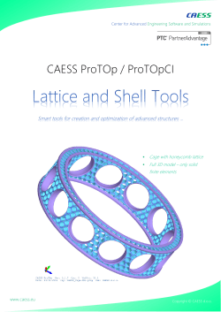 Flyer ProTOp Lattice Tools Lattice structure