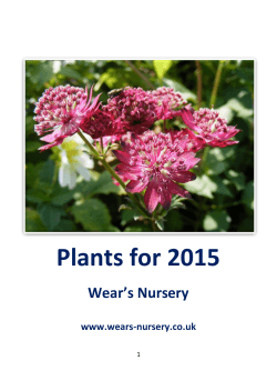 Plant - wears nursery