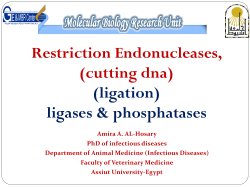 Restriction Endonucleases, (cutting dna) (ligation