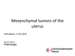 Mesenchymal Tumors of the Uterus