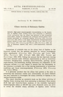 Ciliary activity of stationary opalina