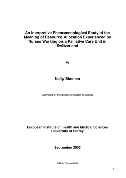 NELLY_SIMMEN FINAL DISSERTATION 3