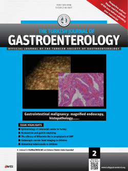 Gastrointestinal malignancy: magnified endoscopy, histopathology