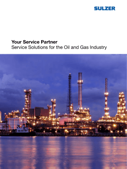 Your Service Partner Service Solutions for the Oil and Gas