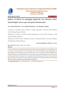 Impact of silicon in managing important rice diseases: blast, sheath