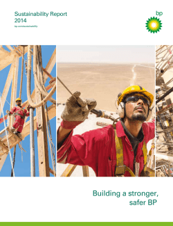 BP Sustainability Report 2014