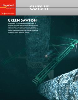 Green Sawfish - 1diamond technology