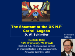The Shootout at the OK N